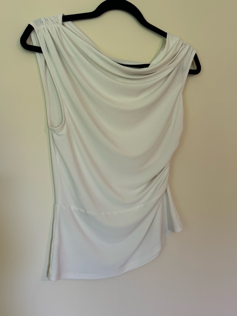 Aritzia Top